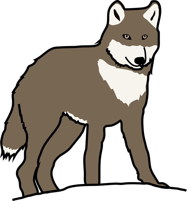 Free wolf canine nature vector