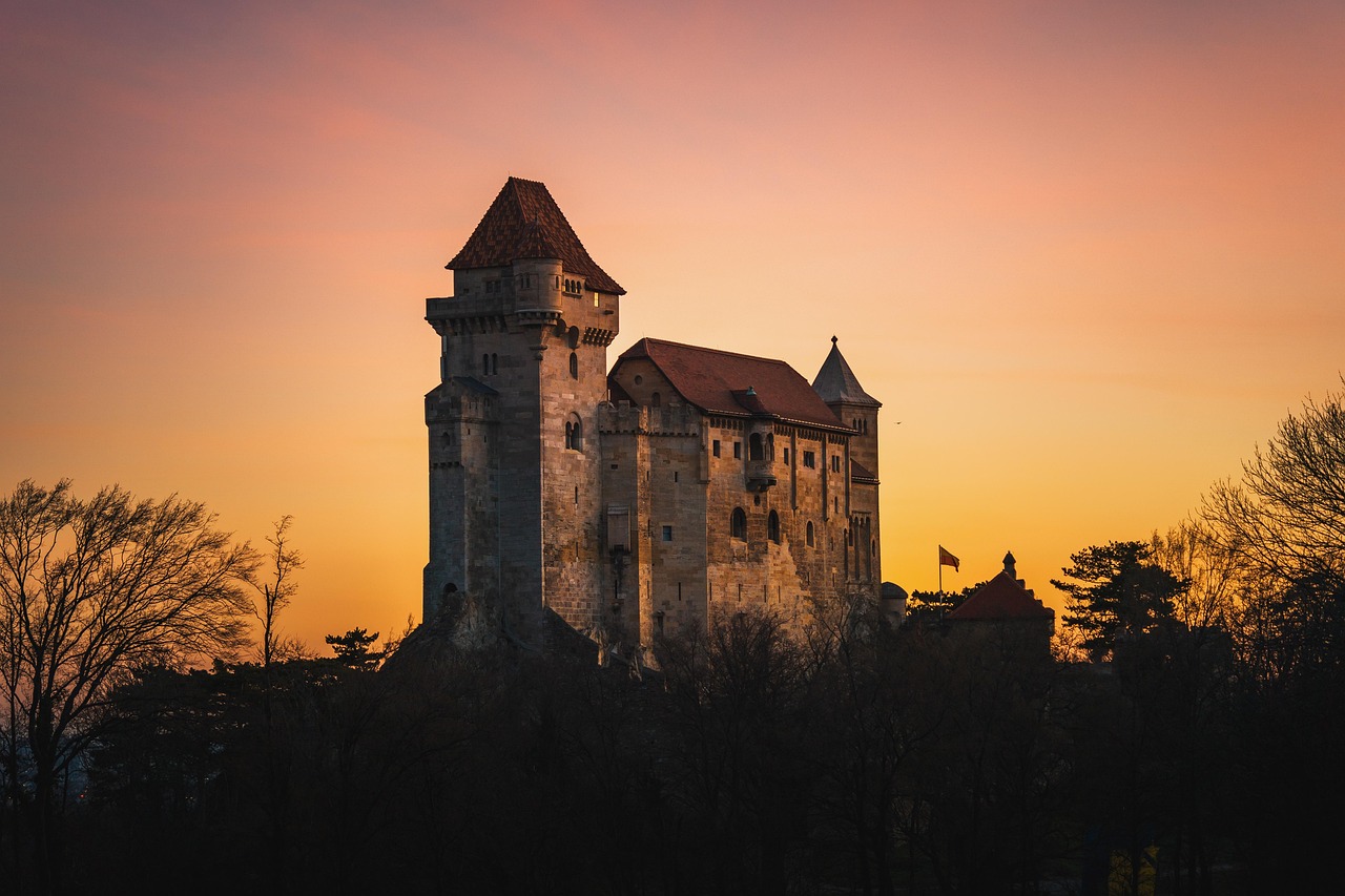 Plus de 10 000 images de Moyen Age et de Château - Pixabay