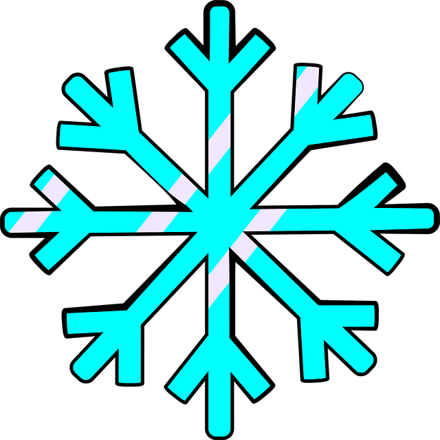 Free Snowflake Winter vector and picture
