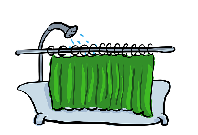 Download free HD stock image of Bathroom Shower Free bathroom shower to bathe illustration
