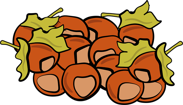 Free hazelnuts nuts food vector
