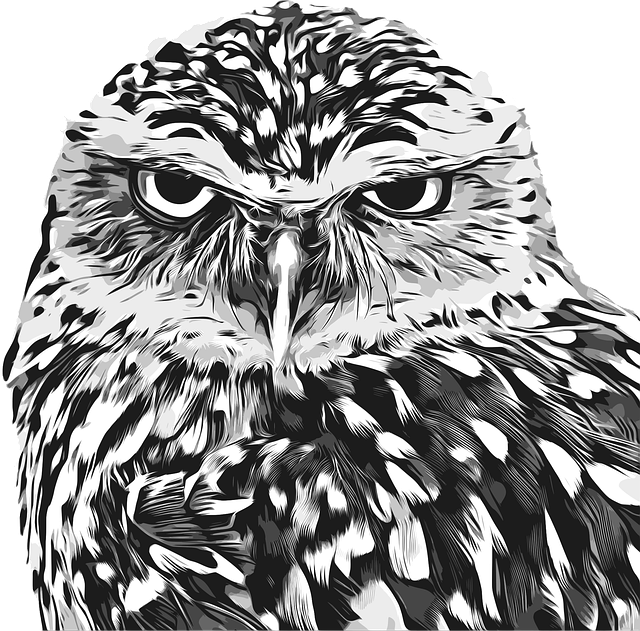 Free owl nocturnal bird wild animal illustration