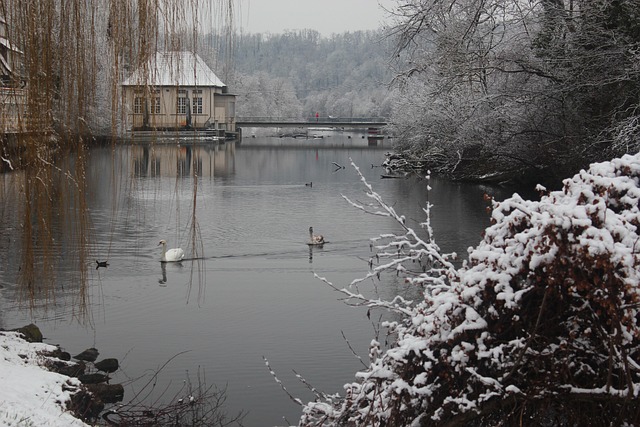 Free Winter Snow photo and picture