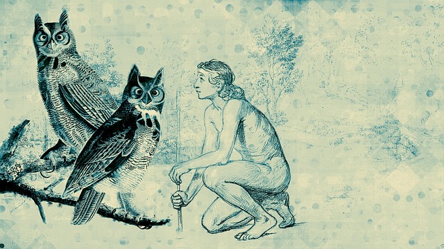 Free man owls birds illustration