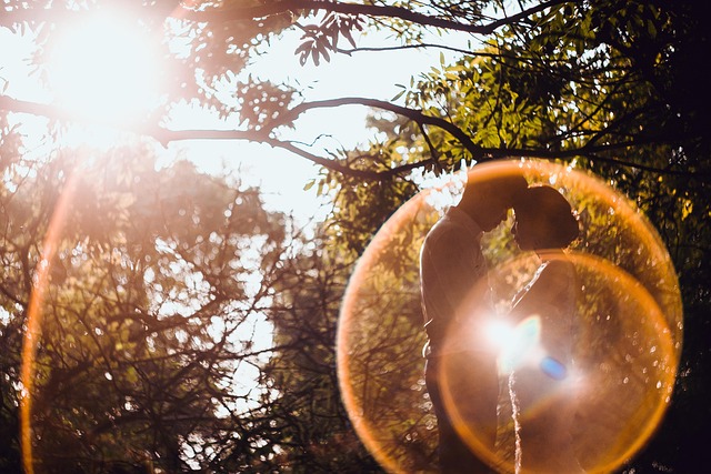 Hochzeit, Blume, Sonne, Baum, Wald, Paar