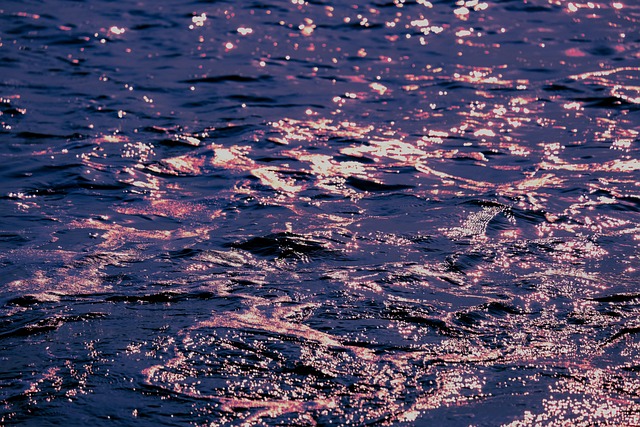 Free Wave Sunset photo and picture