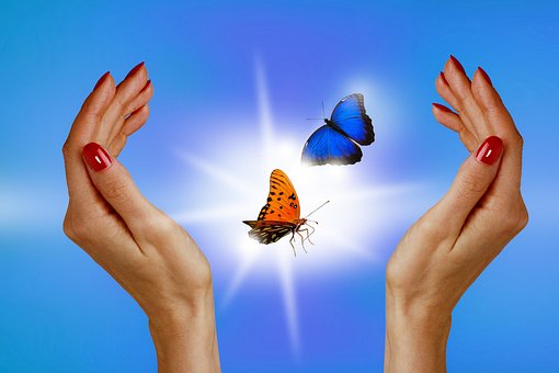 Free Hands Butterfly illustration and picture