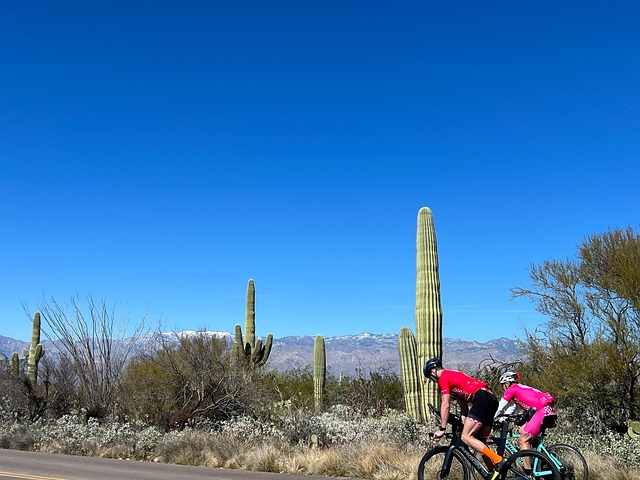 Free Desert Mountains photo and picture