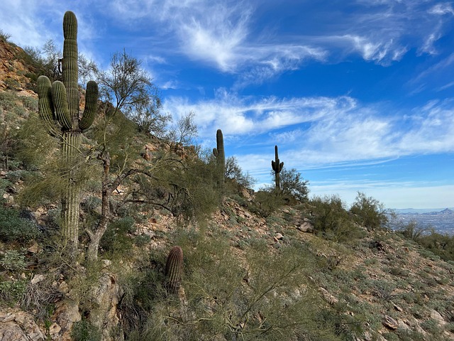Free Desert Mountains photo and picture