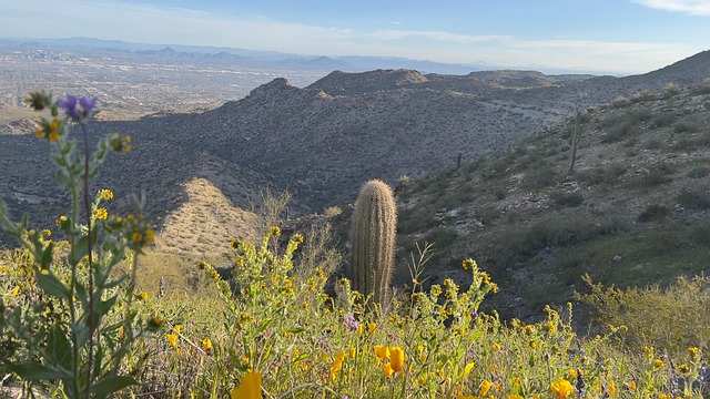 Free Desert Mountains photo and picture