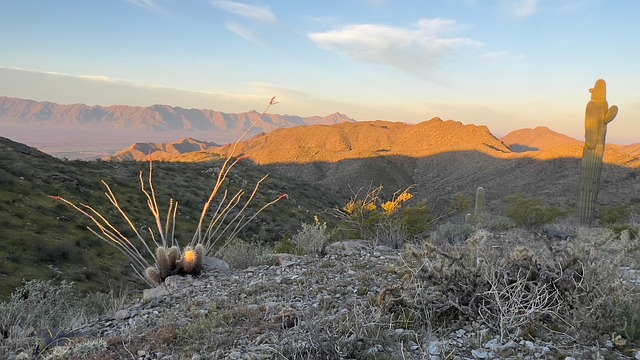Free Desert Mountains photo and picture