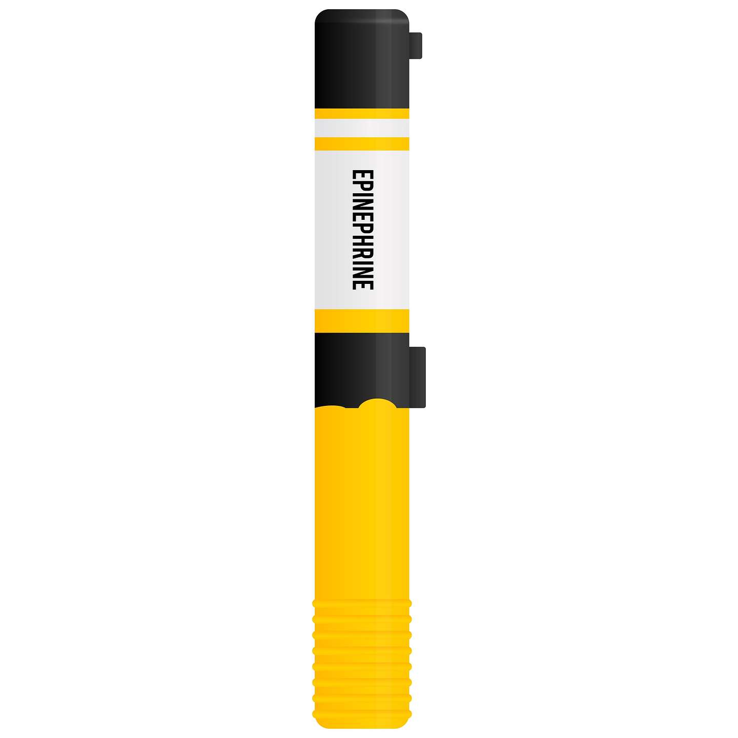 Canadianinsulin pixabay