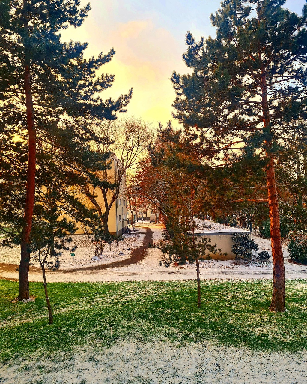 冬天 雪 自然 - Pixabay上的免费照片 - Pixabay