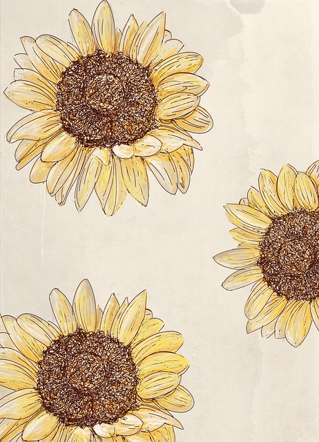 Free sunflowers yellow flowers paper illustration
