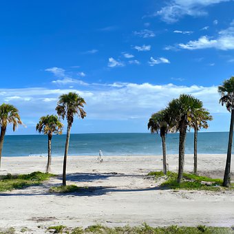 Free Beach Sea illustration and picture