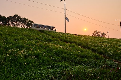 Ausruhen, Gras, Nachmittag, Sonne
