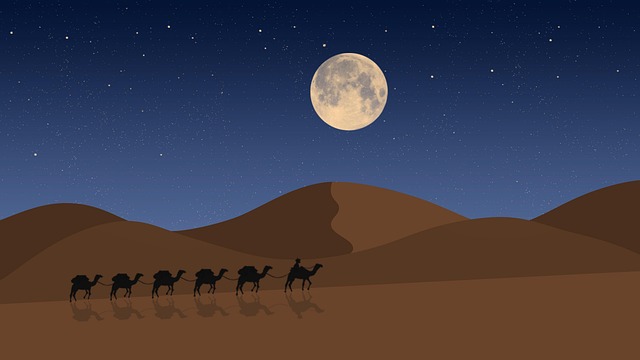 Download free HD stock image of Camel Safari Free camel safari egypt illustration