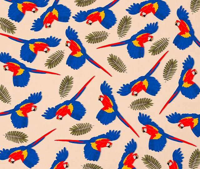Free bird animals parrot illustration