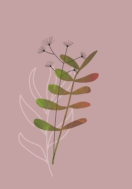 Rastliny, Botanický, Príroda, Monstera