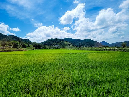 Free Nature Rural photo and picture