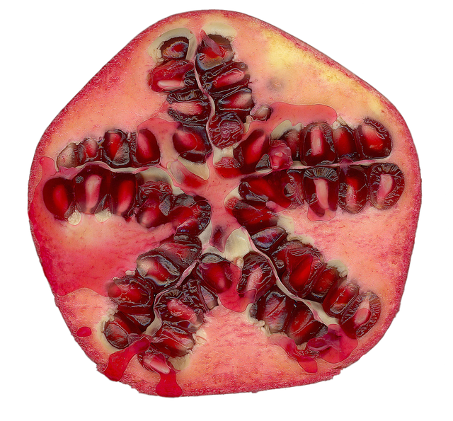 Free pomegranate fruit seeds illustration
