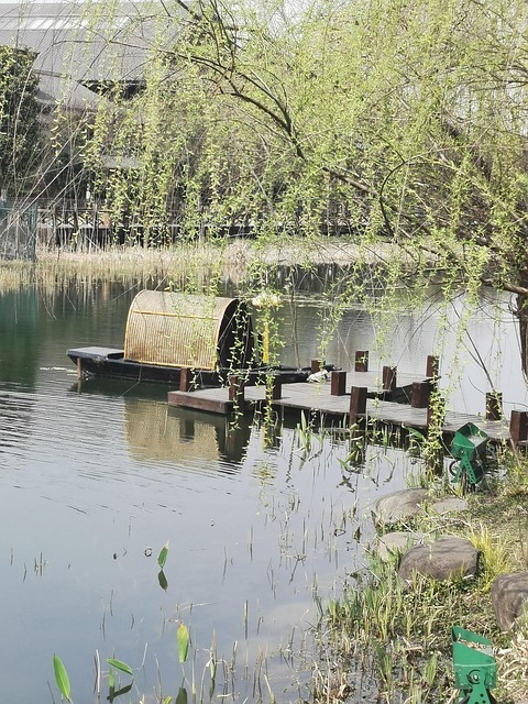 Estilo Antiguo Estilo Tang Wuxi Nianhua Ba