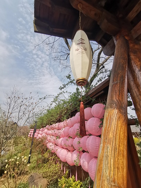 Linterna, Tang Feng, Flor