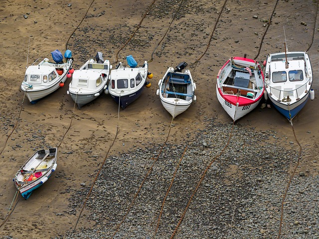 Free Ship Harbor photo and picture