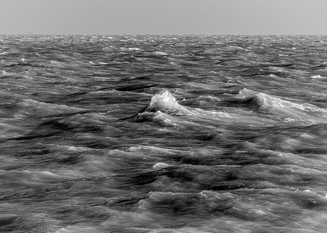Free Wave Ocean photo and picture