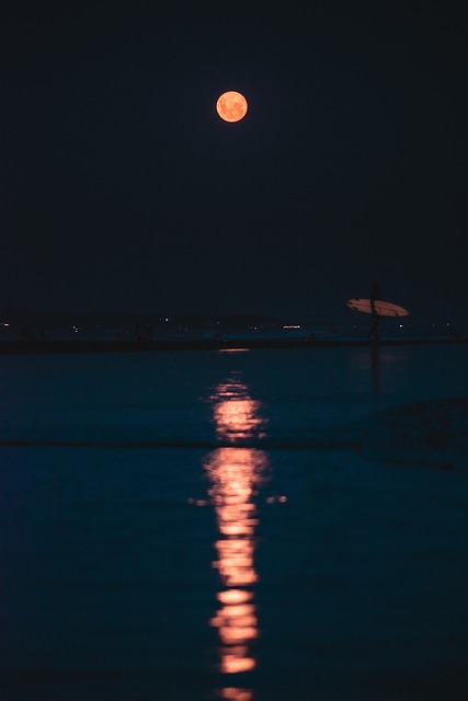 Free Night Darkness photo and picture