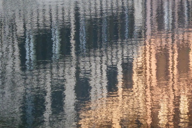 Free Reflection Water photo and picture