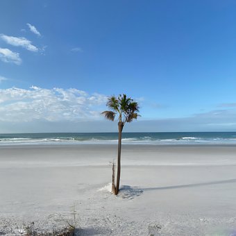 Free Beach Sea photo and picture