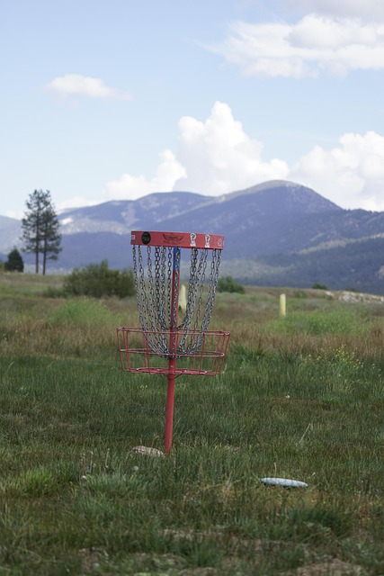Disk Golf, Discgolf, Big Bear