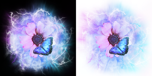 Free flowers painting digital art illustration