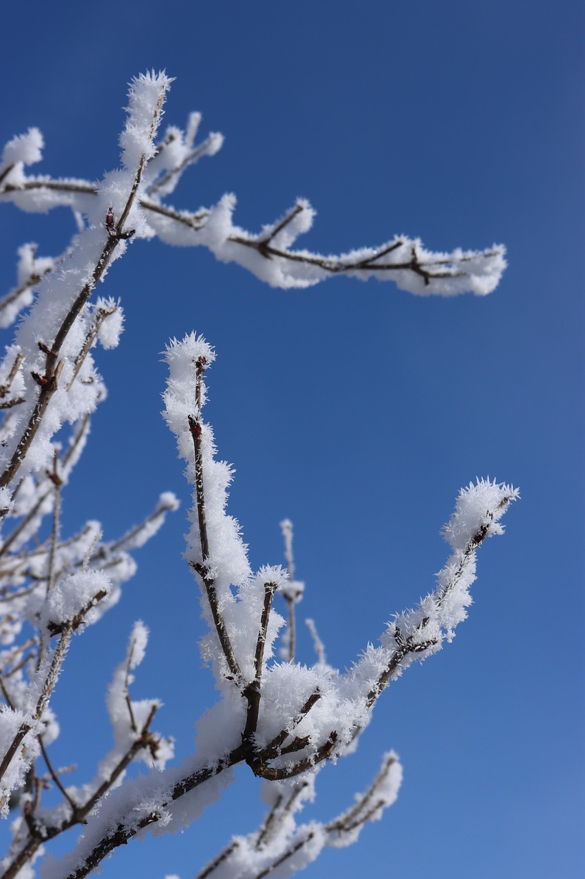 Schnee Winter Himmel - Kostenloses Foto auf Pixabay - Pixabay
