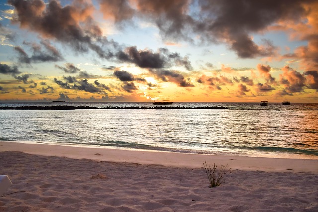 Free Sunset Landscape photo and picture