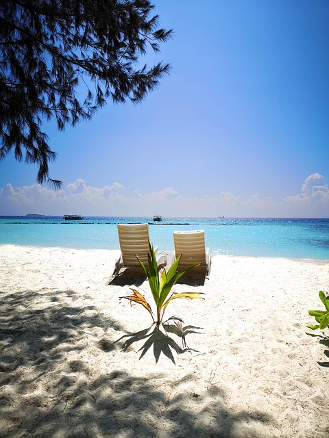 Free Beach Sandy Beach photo and picture