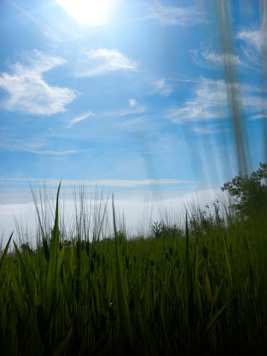 Sky Nature Fogg - Free photo on Pixabay - Pixabay