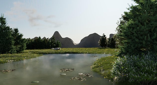 Innsjø, Gress, Natur, Landskap, Trær