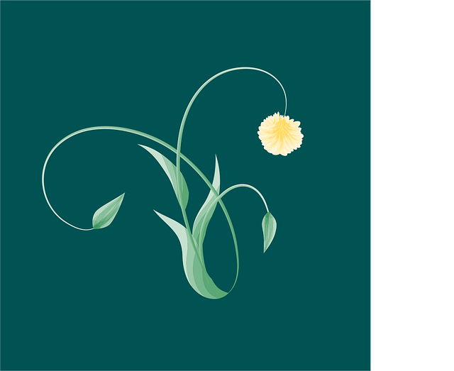 Free daffodil flower background flower vector