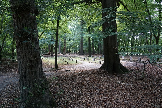 Cemitério, Floresta, Palace Het Loo