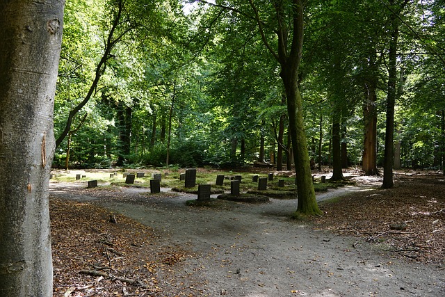 Cemitério, Floresta, Lápide