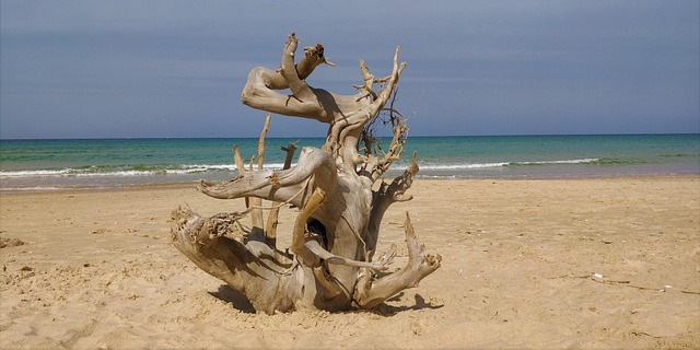 Free Ocean Nature photo and picture