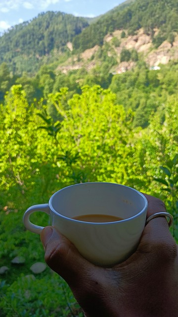 Free Cup Coffee photo and picture