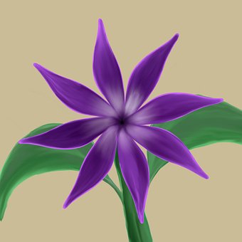Natur, Gulve, Forår, Blomstermotiver
