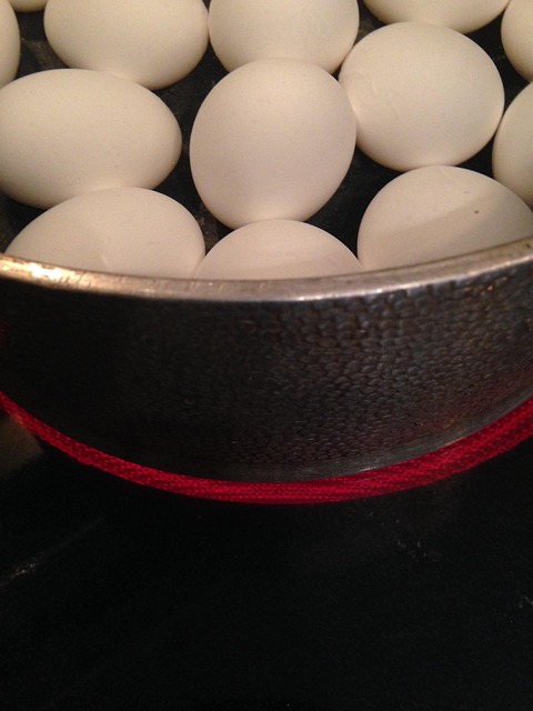 Free Egg Easter photo and picture