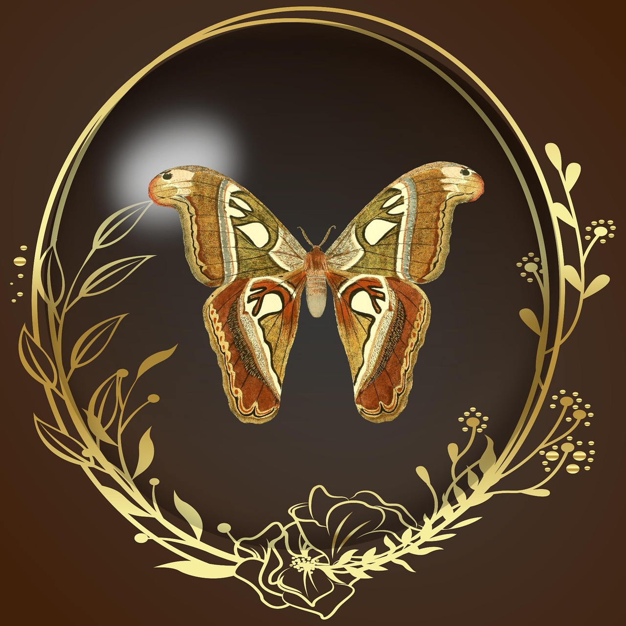 Fantasie Mensen Mystiek - Gratis afbeelding op Pixabay - Pixabay