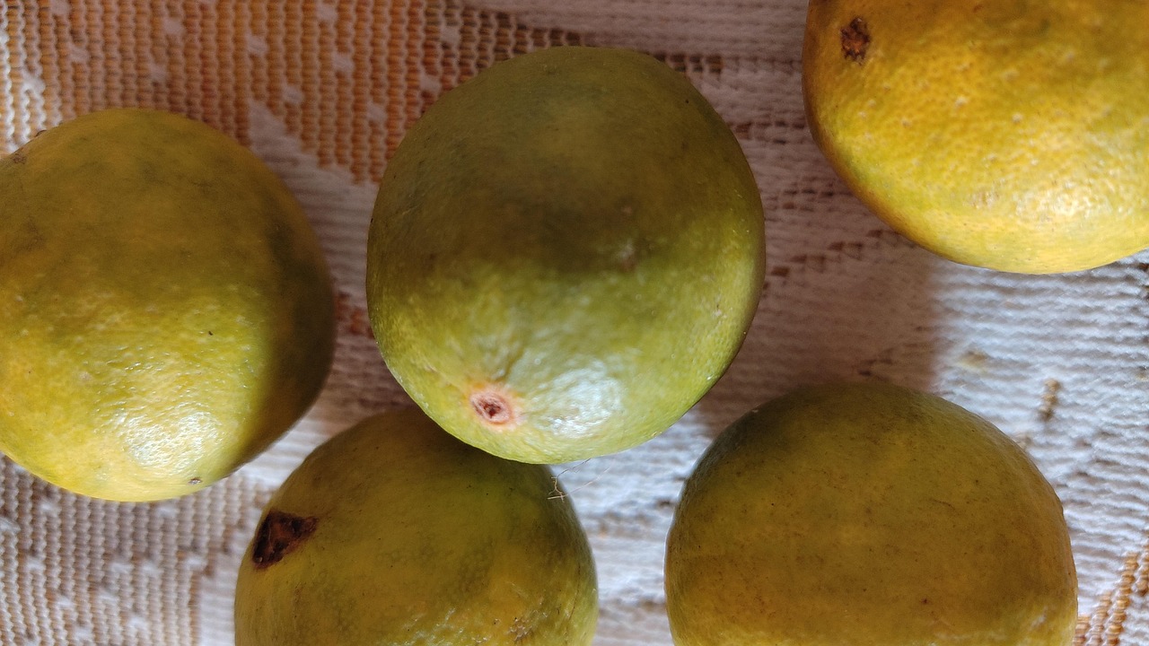 Download free HD stock image of Lemons Fruit Free Lemons Fruit photo and picture