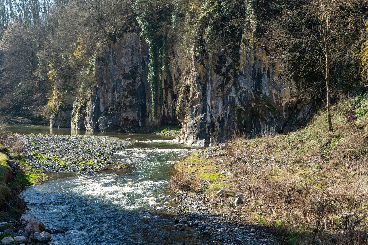 Mole Ribnica Rio Ribnica Serbia Cueva - Foto gratis en Pixabay - Pixabay