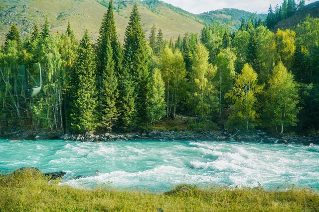 Free Beauty River photo and picture